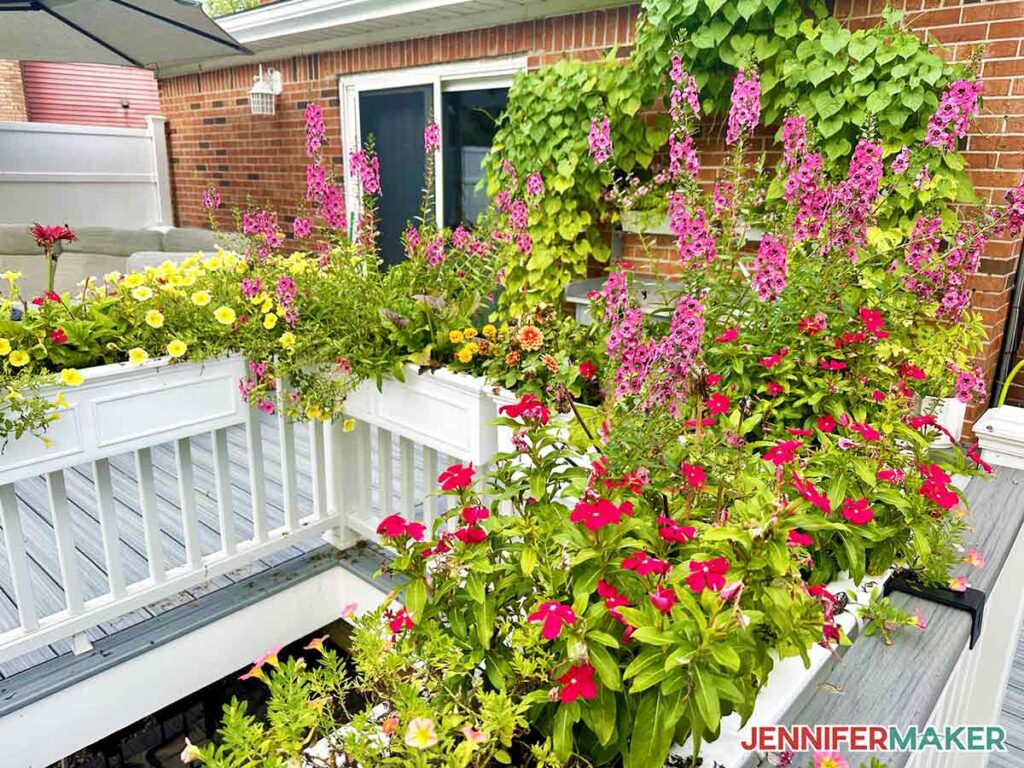 Fillers like impatiens and marigolds in windows boxes on a deck.