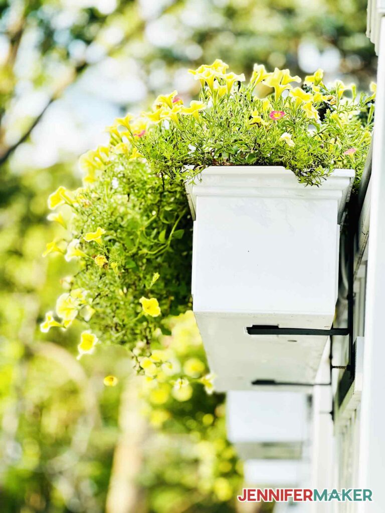 Wave petunias in a white planter box make up the number of plants to put in a window box