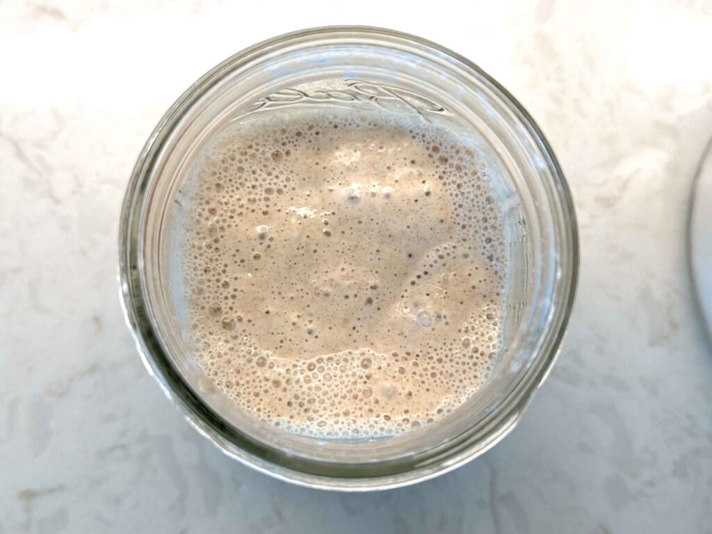 An active, bubbling sourdough starter ready to use.