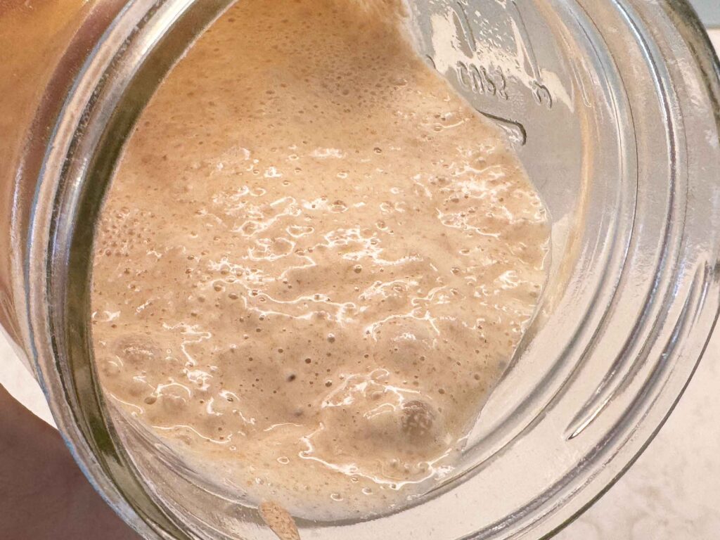 Pouring sourdough starter out from jar, showing lots of little bubbles throughout it.