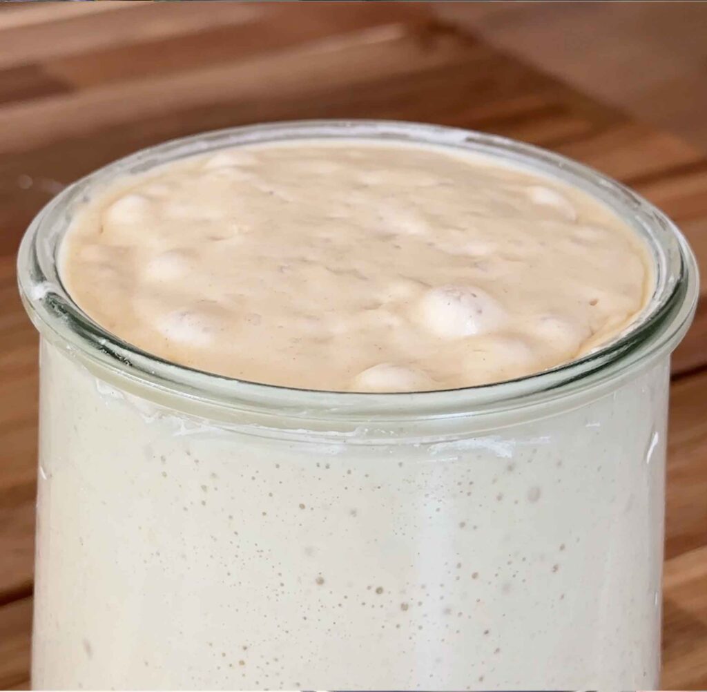 Sourdough starter bubbling and active
