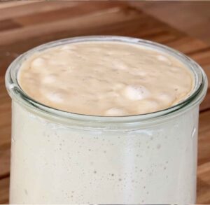 Sourdough starter bubbling and active