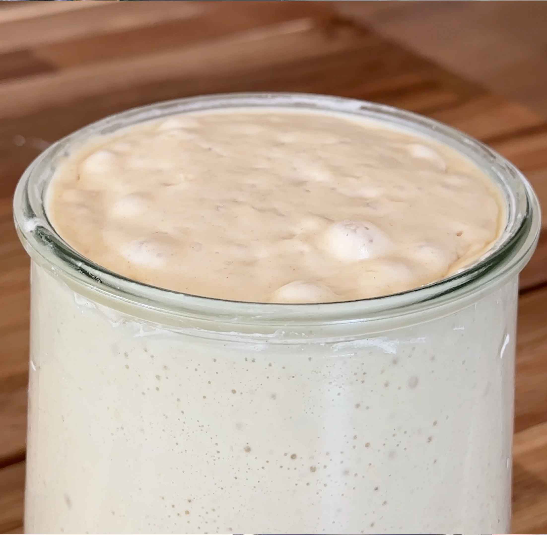 Sourdough starter bubbling and active