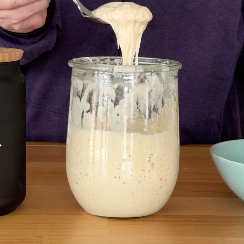 Feeding the sourdough starter daily