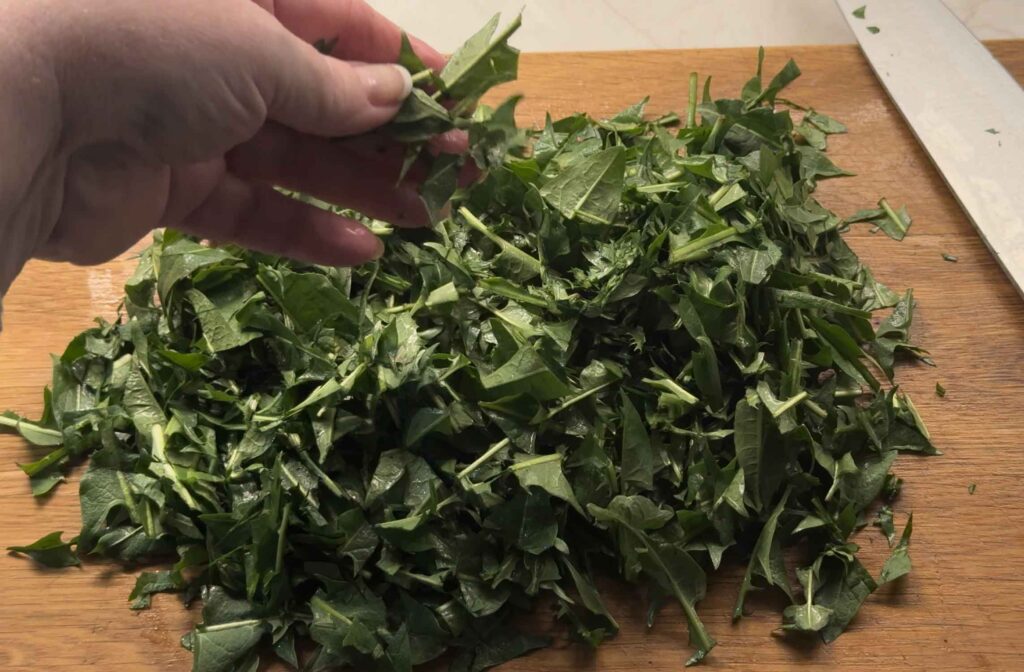 Chopping dandelion greens