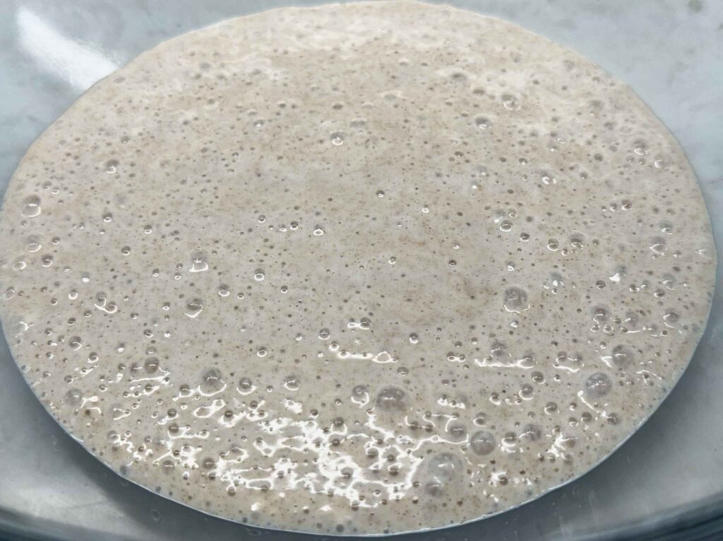 Active sourdough starter in a bowl