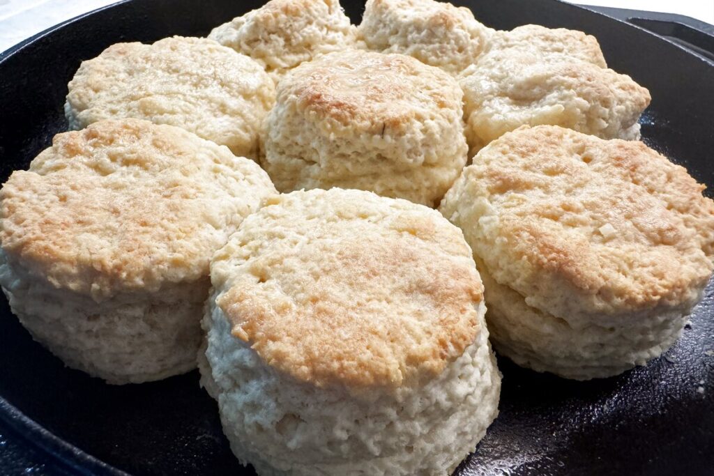 Golden baked sourdough discard biscuits in a cast iron skillet