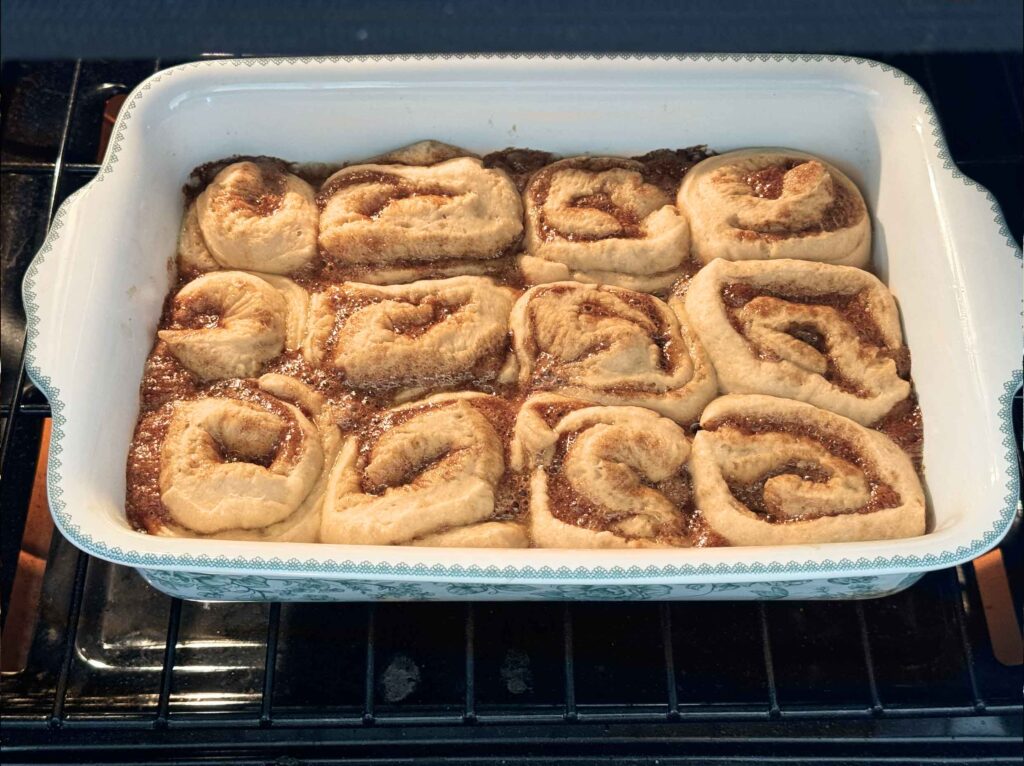 Cinnamon rolls in oven after being baked.