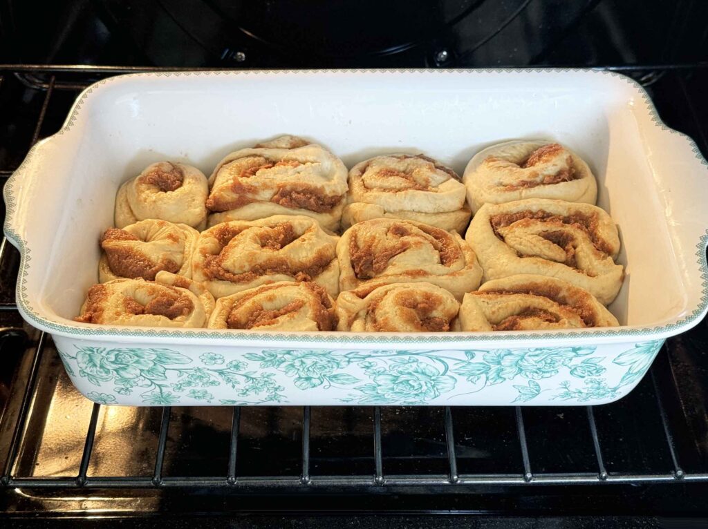 Cinnamon rolls in oven to be baked.