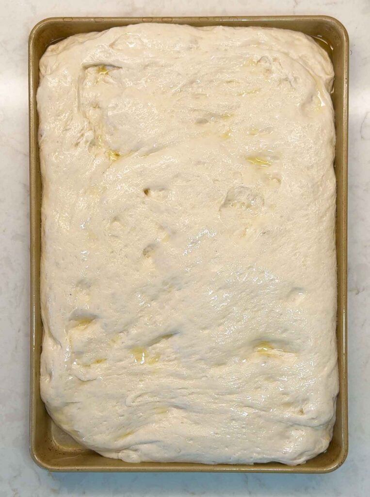 Puffy focaccia dough ready to dimple