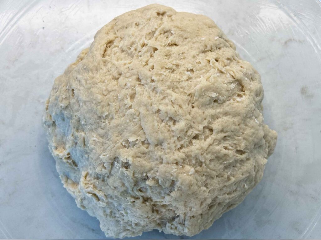 Shaggy dough that is not ready