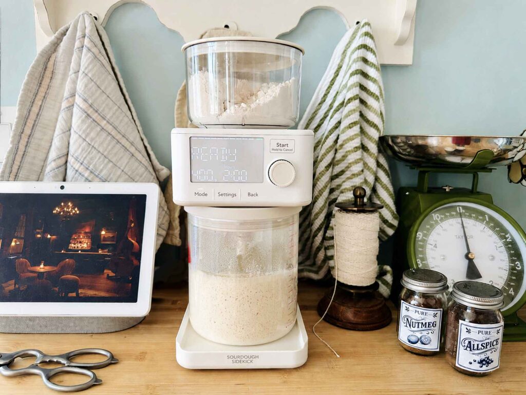 My Sourdough Sidekick in the kitchen, with a fresh batch of active starter ready for me to use