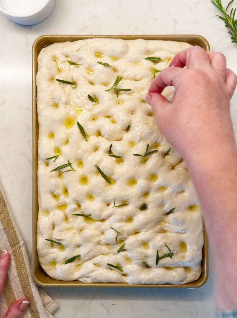 Topping the sourdough focaccia with fresh rosemary