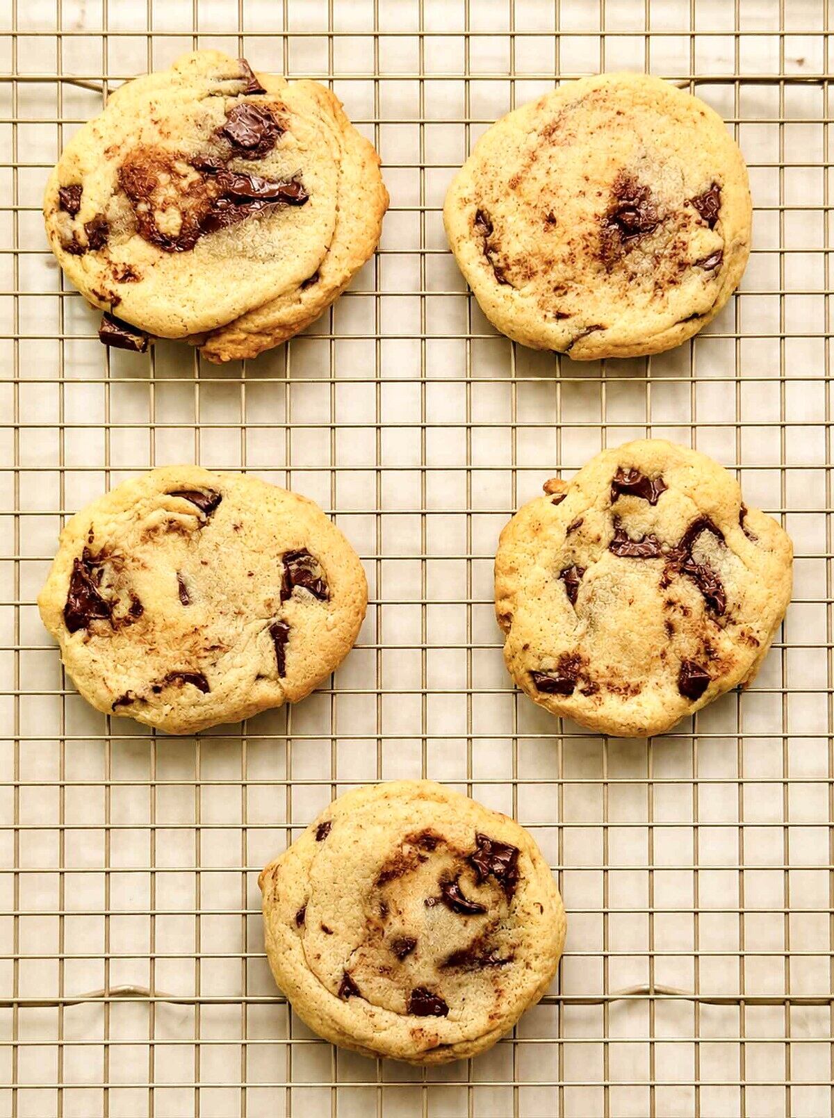 Flatter, chewier sourdough chocolate chip cookies with caramelized edges, cooling on a wire rack.