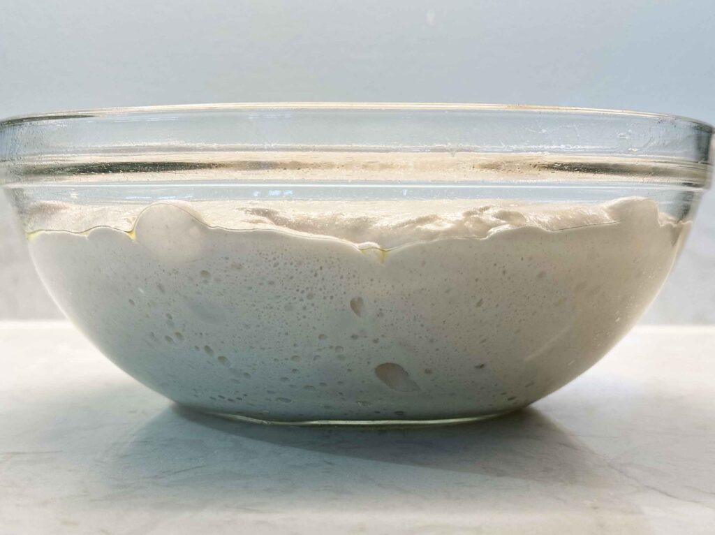 Sourdough pizza dough in a glass bowl at the end of its bulk rise, all puffy, bubbly, and jiggly