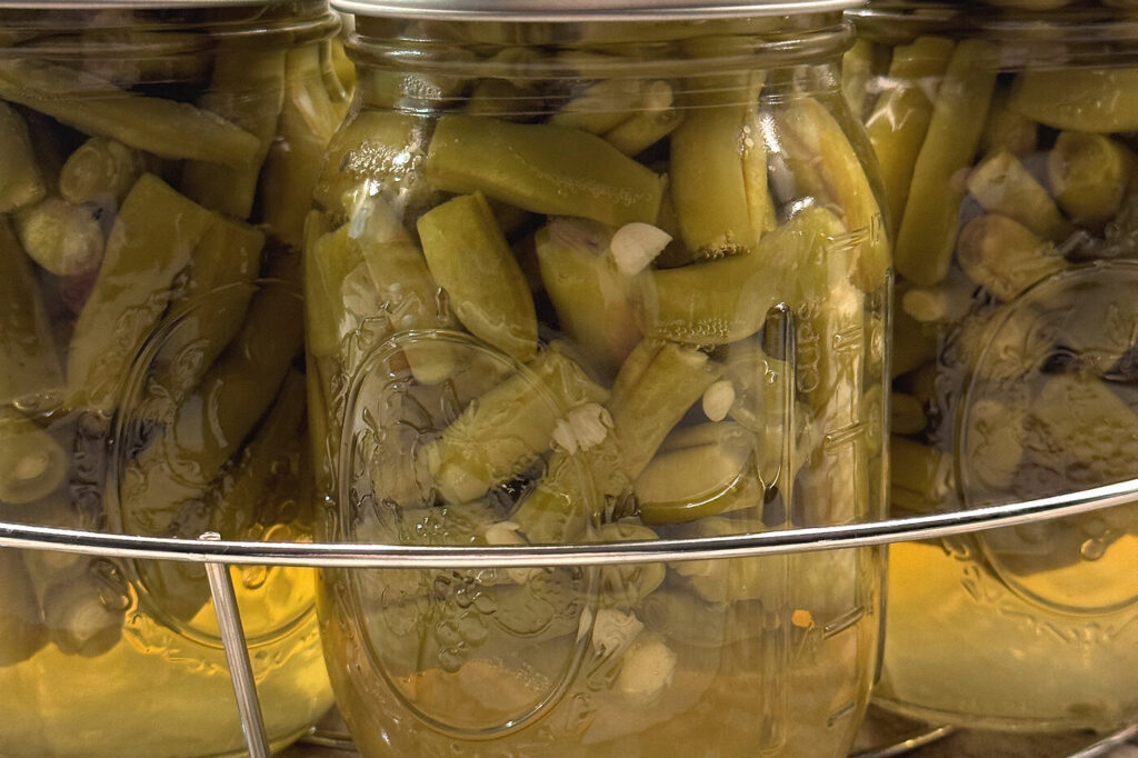 Sealed jars of green beans cooling in the canner rack after processing