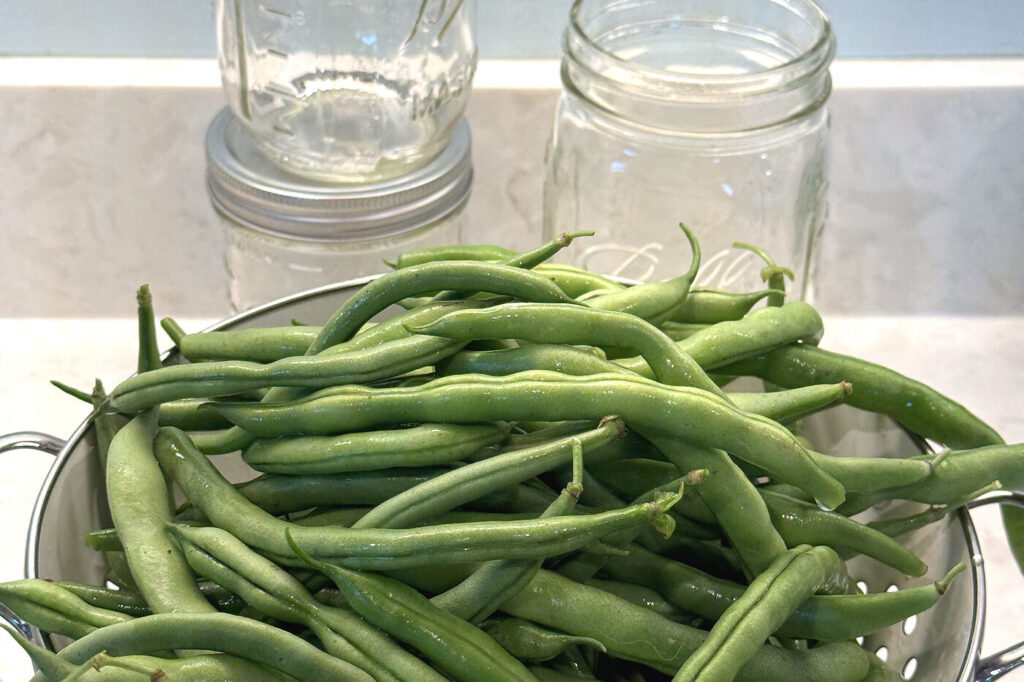 A bowl of freshly picked whole green beans on the counter with empty jars behind