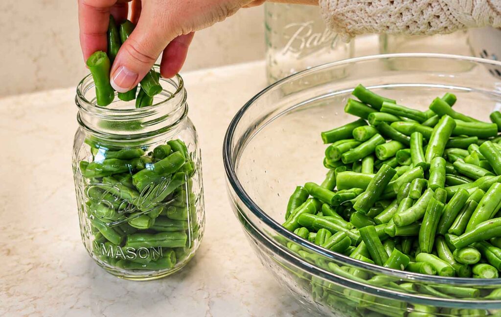 Packing washed and cut green beans into pint-size jars
