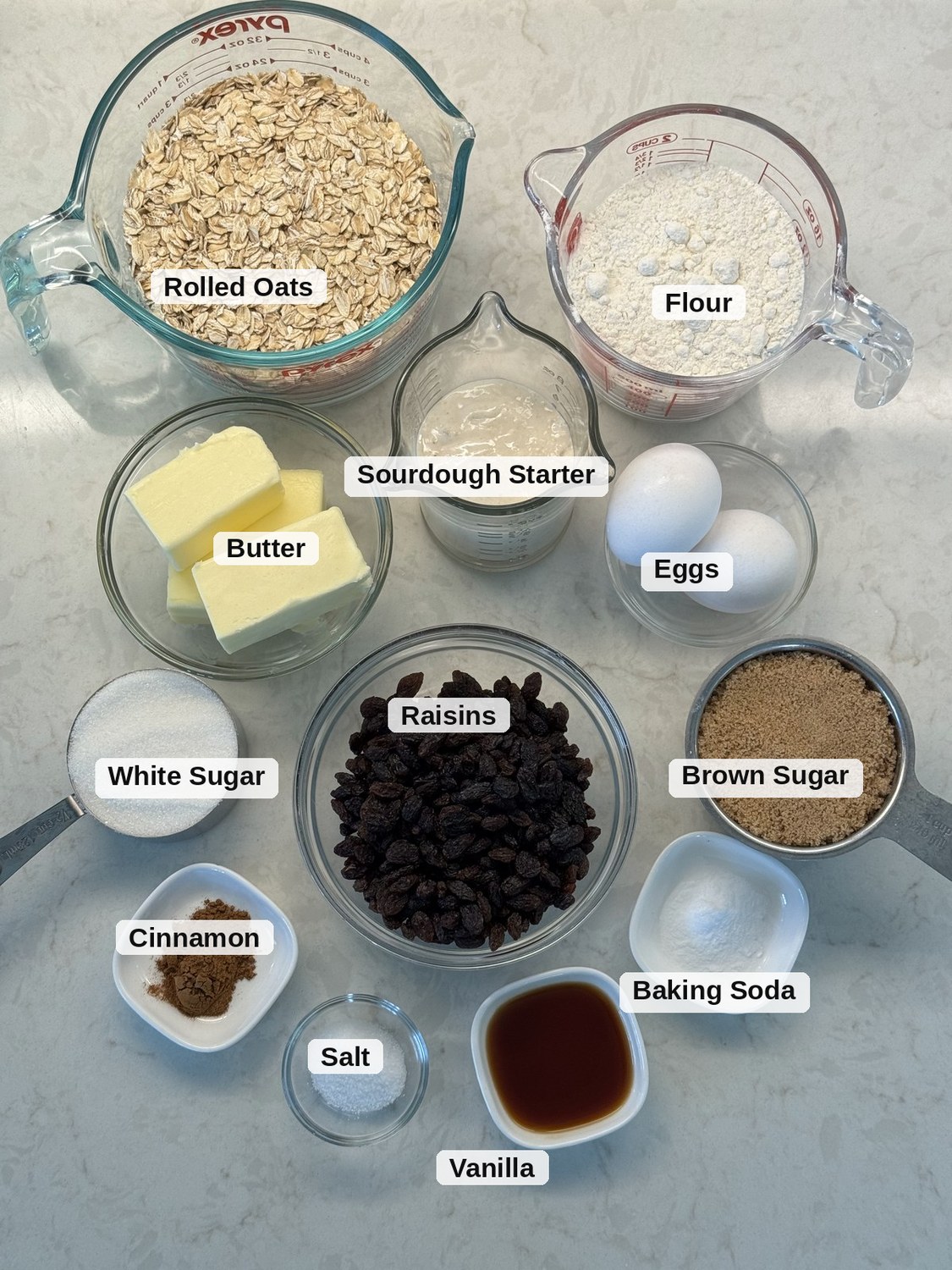 Labeled overhead flat-lay of sourdough oatmeal cookie ingredients: rolled oats, flour, sourdough starter, butter, eggs, white and brown sugar, raisins, cinnamon, baking soda, salt, and vanilla.