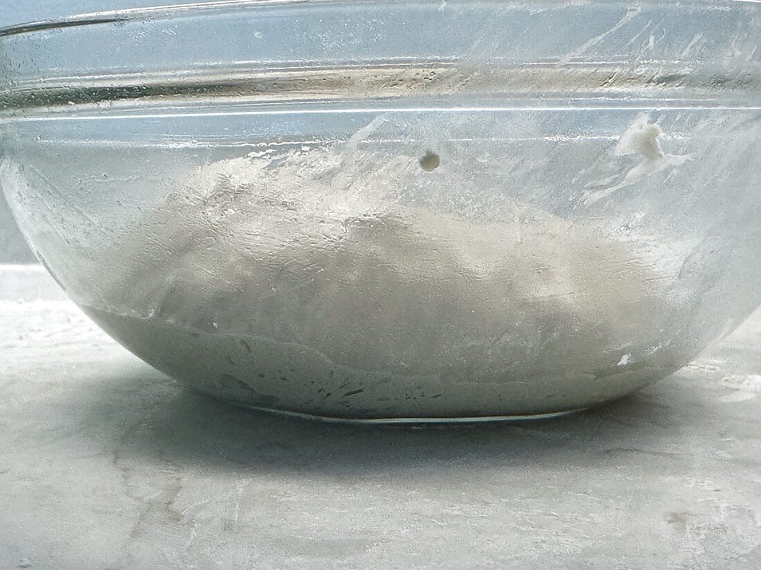 Sourdough pizza dough puffy and risen about 50 to 75 percent after the bulk rise, seen from the side of a glass bowl