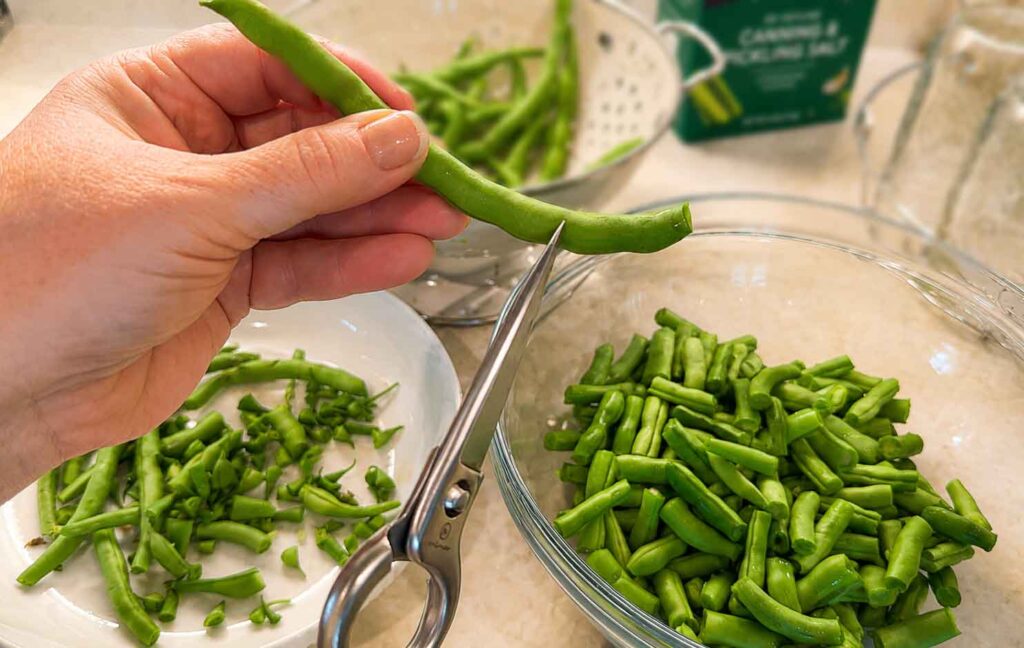 Trimming and cutting green beans to fit in the jars for canning