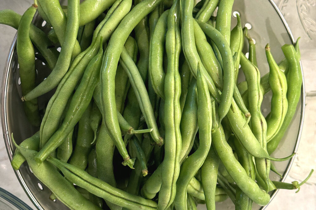 Whole washed green beans draining in a colander