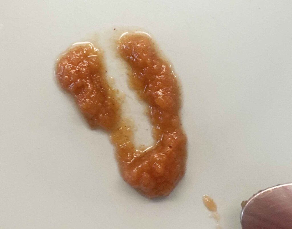 A dab of apple butter on a plate with a clean line