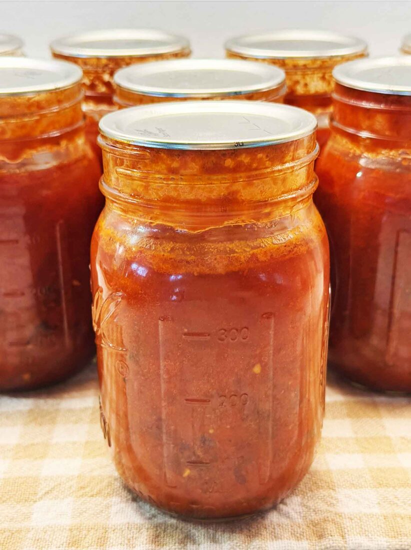 Finished jars of home-canned spaghetti sauce with meat lined up on a gingham cloth