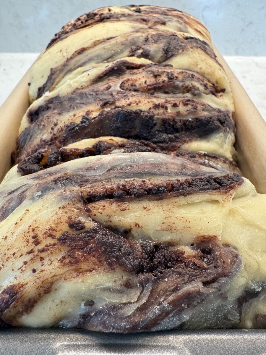 Chocolate sourdough babka risen to the top of the loaf pan before baking