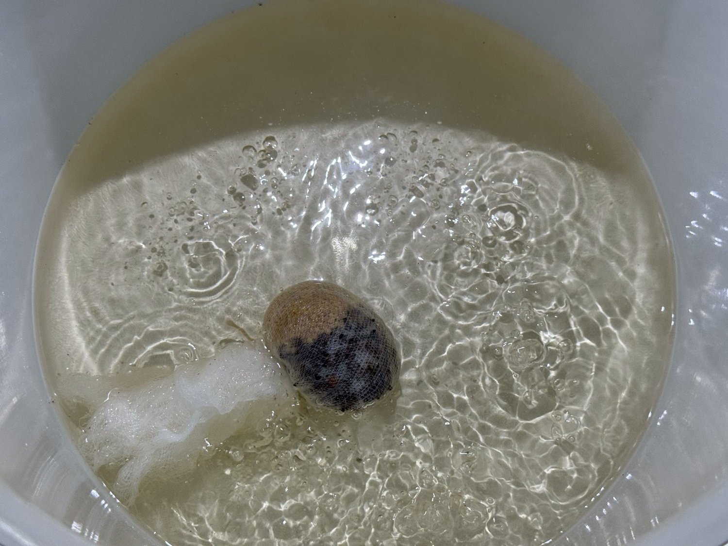 A cheesecloth spice bag simmering in the vinegar and sugar syrup
