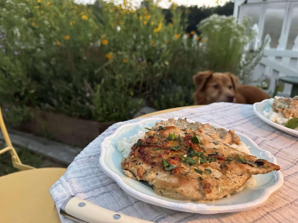 Enjoying Marry Me Chicken in the garden with our dog Hunter looking on