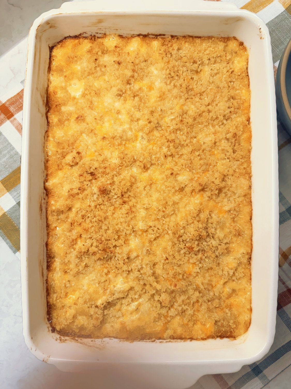 Baked mac and cheese with a golden panko crust in a white baking dish, fresh from the oven