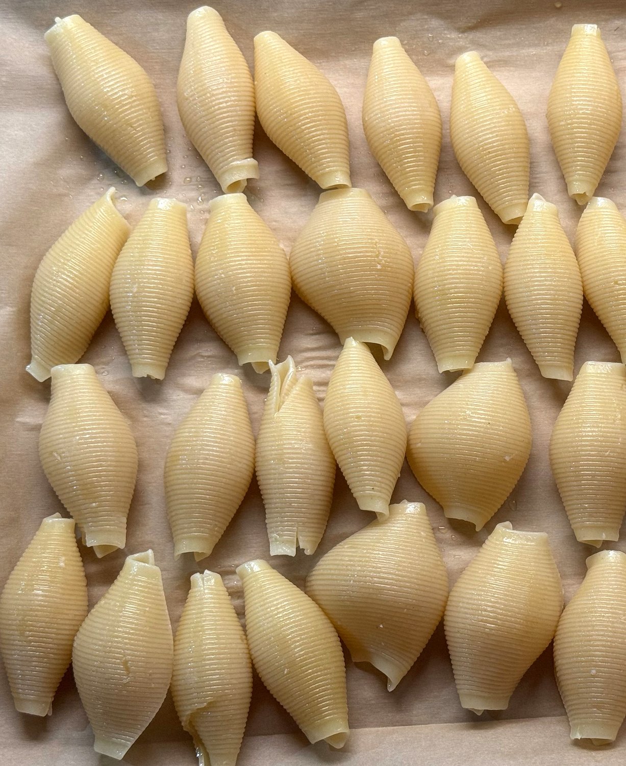 Cooked jumbo pasta shells laid out in rows on a parchment-lined sheet pan