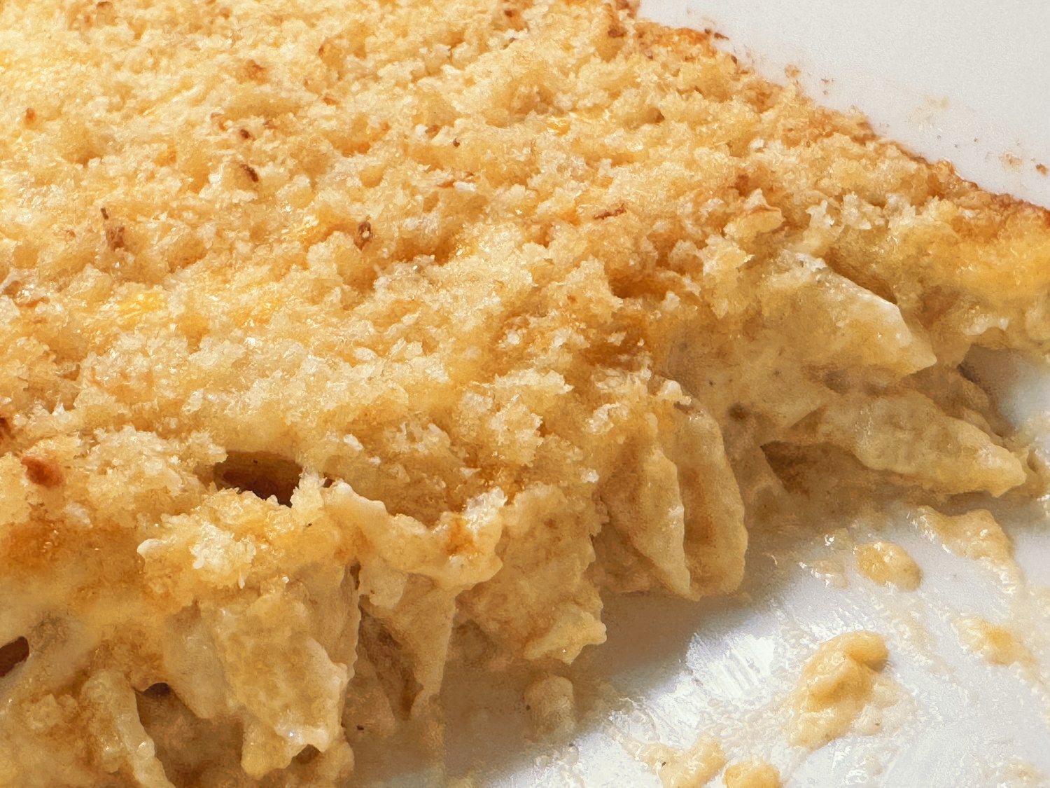 Close-up of the cut edge of baked mac and cheese showing creamy pasta shells under a crunchy panko crust