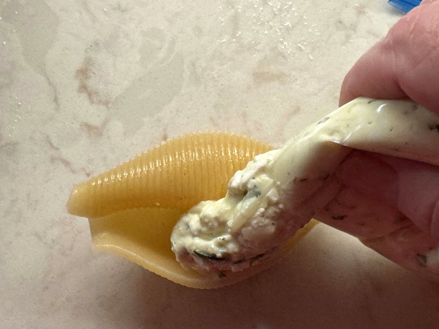 Cheese filling being squeezed from a plastic bag into a cooked jumbo shell