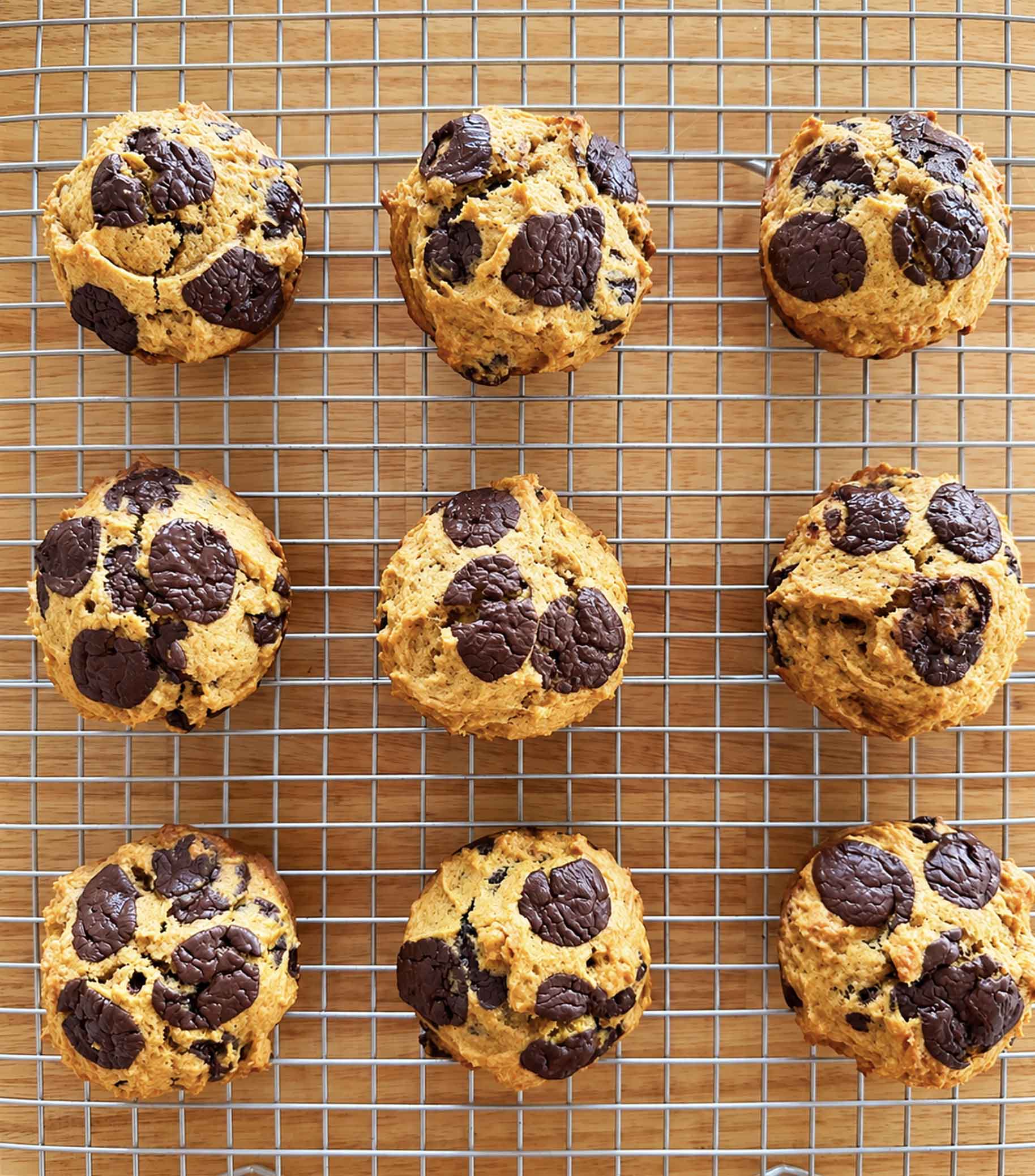 Pumpkin chocolate chip muffins cooling on a wire rack, seen from above