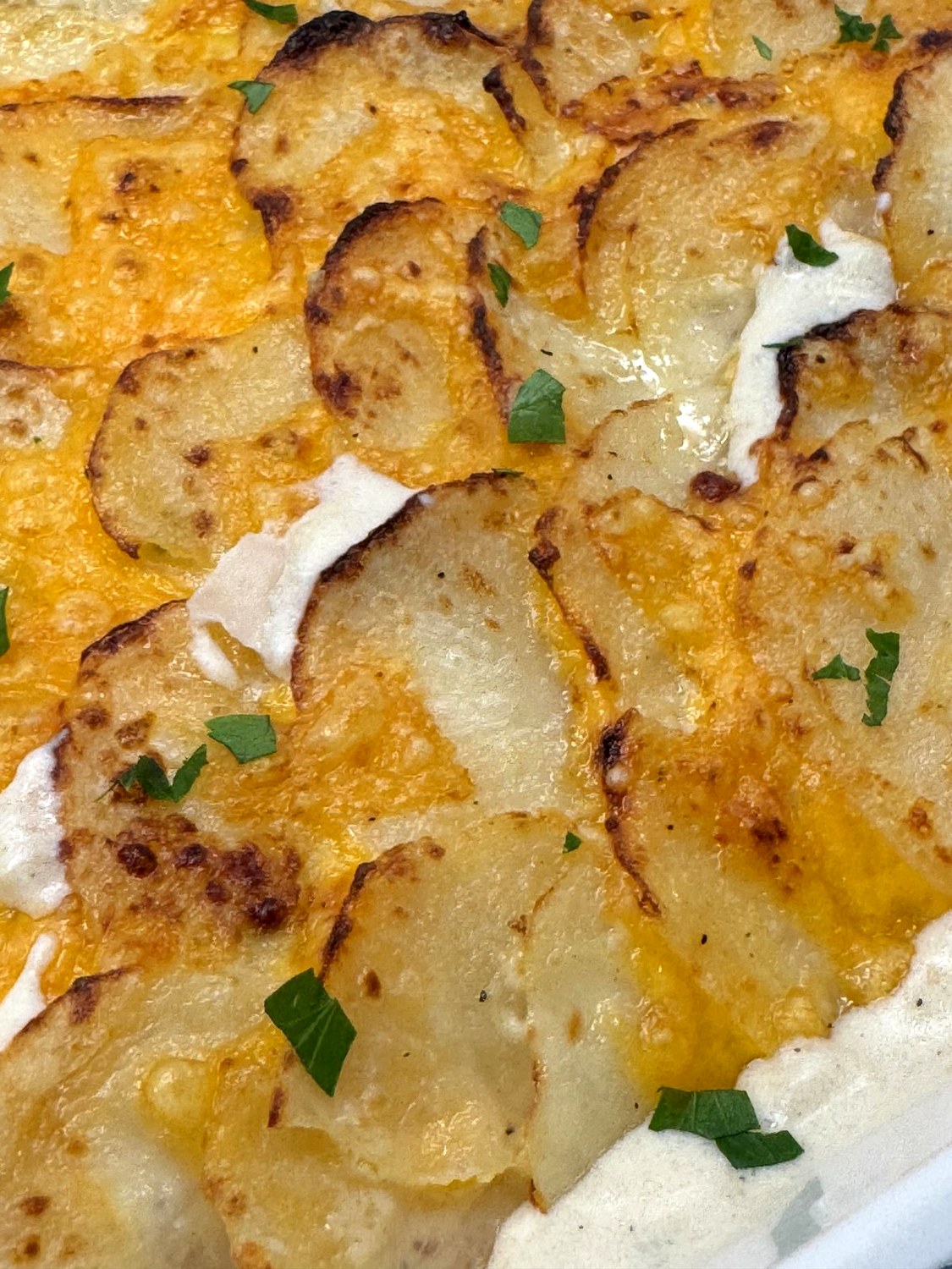 Close-up of shingled scalloped potatoes with browned edges, melted cheddar, and parsley